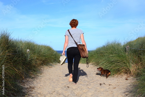 beach view/ woman and her dog walking towards the beach on an island in the Netherlands