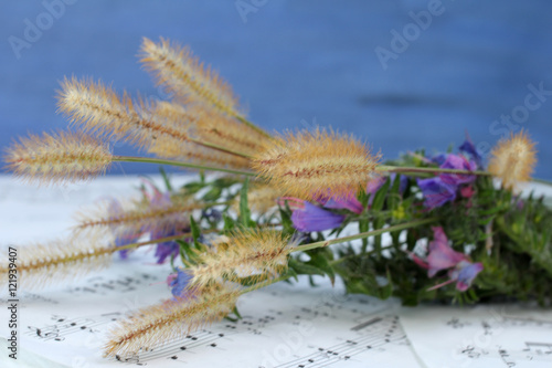 Букет из полевых цветов на фоне нот