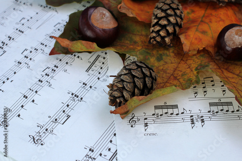 Шишки, каштаны и листья на нотах