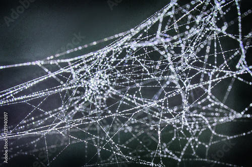 Fotografia Close up of a spider web