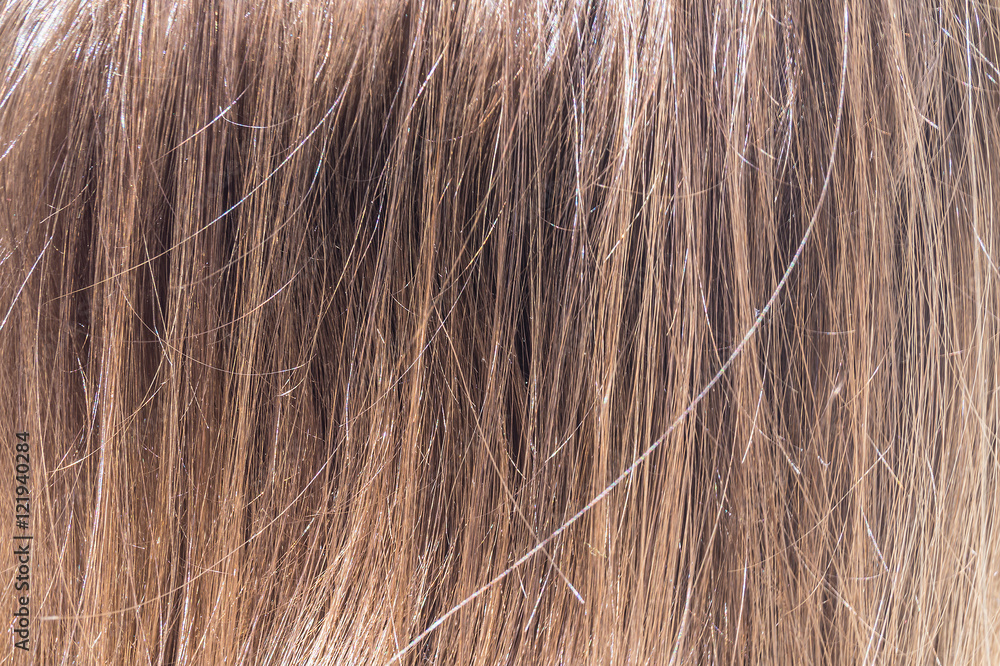 Fototapeta premium human hair