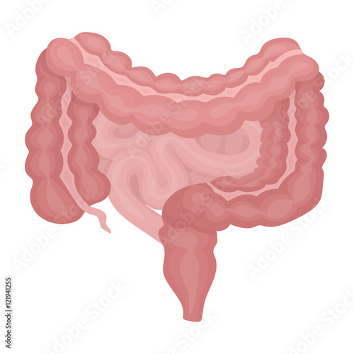 Gastrointestinal tract icon in cartoon style isolated on white background. Organs symbol stock vector illustration.