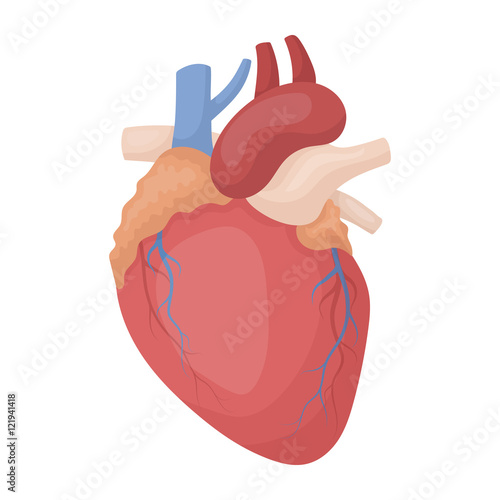 Heart icon in cartoon style isolated on white background. Organs symbol stock vector illustration.