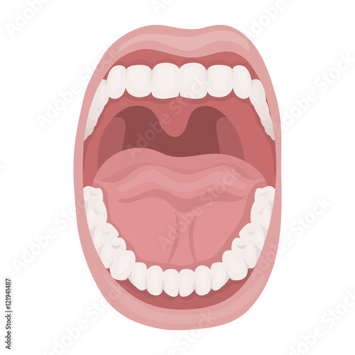 Mouth icon in cartoon style isolated on white background. Organs symbol stock vector illustration.