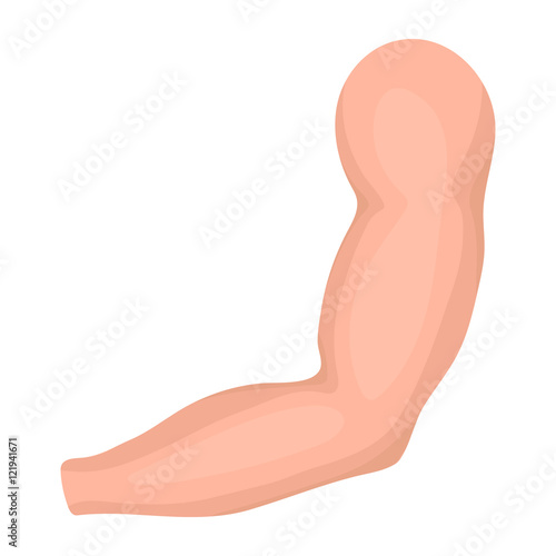 Arm icon in cartoon style isolated on white background. Part of body symbol stock vector illustration.