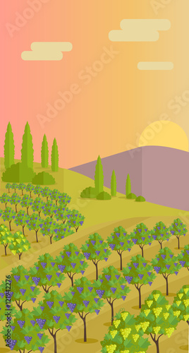 Rural Landscape with Vineyard