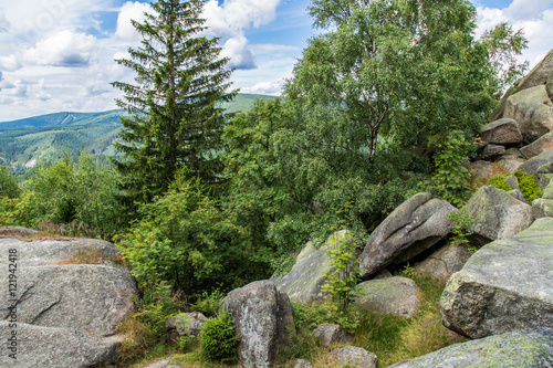 Umgebung auf der Feigenbaumklippe, Naturpark Harz