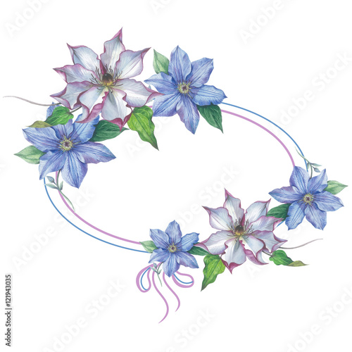 Fototapeta Naklejka Na Ścianę i Meble -  Wildflower clematis flower frame in a watercolor style isolated. Full name of the plant: clematis, wisteria. Aquarelle flower could be used for background, texture, pattern, frame or border.