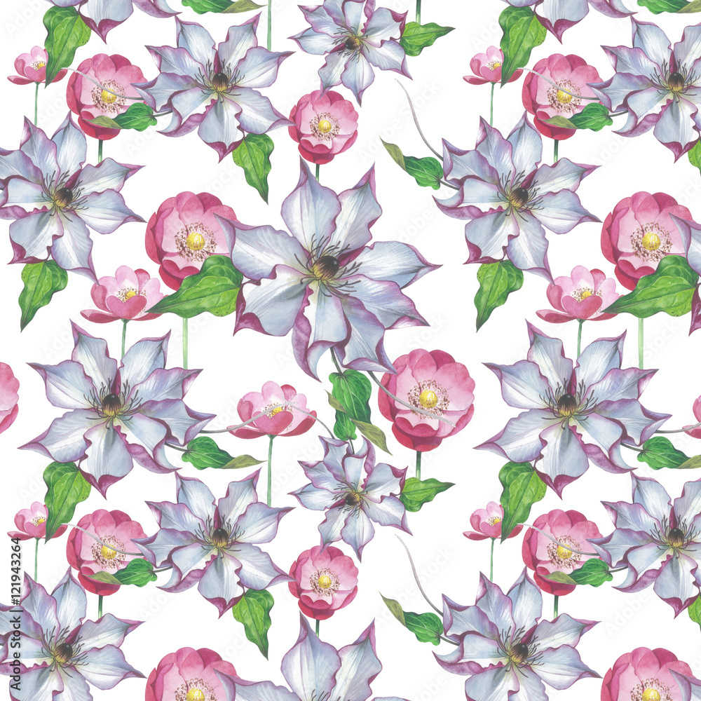 Fototapeta Wildflower clematis flower pattern in a watercolor style isolated. Full name of the plant: clematis, wisteria. Aquarelle flower could be used for background, texture, pattern, frame or border.