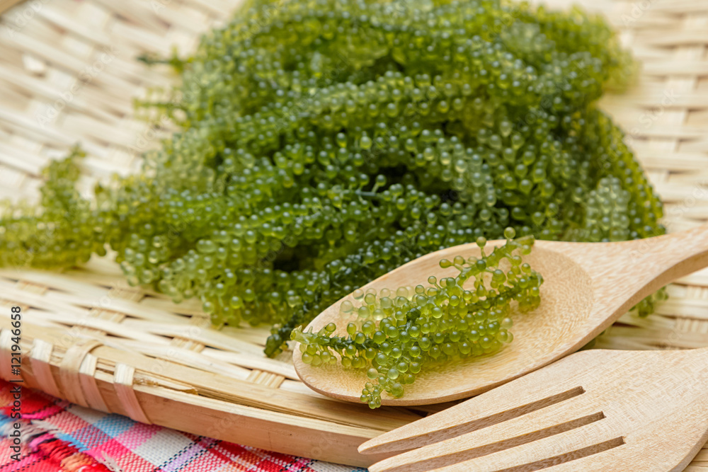Sea grapes ( green caviar ) seaweed, Healthy food. Sea grapes ( green caviar ) seaweed, Healthy food.