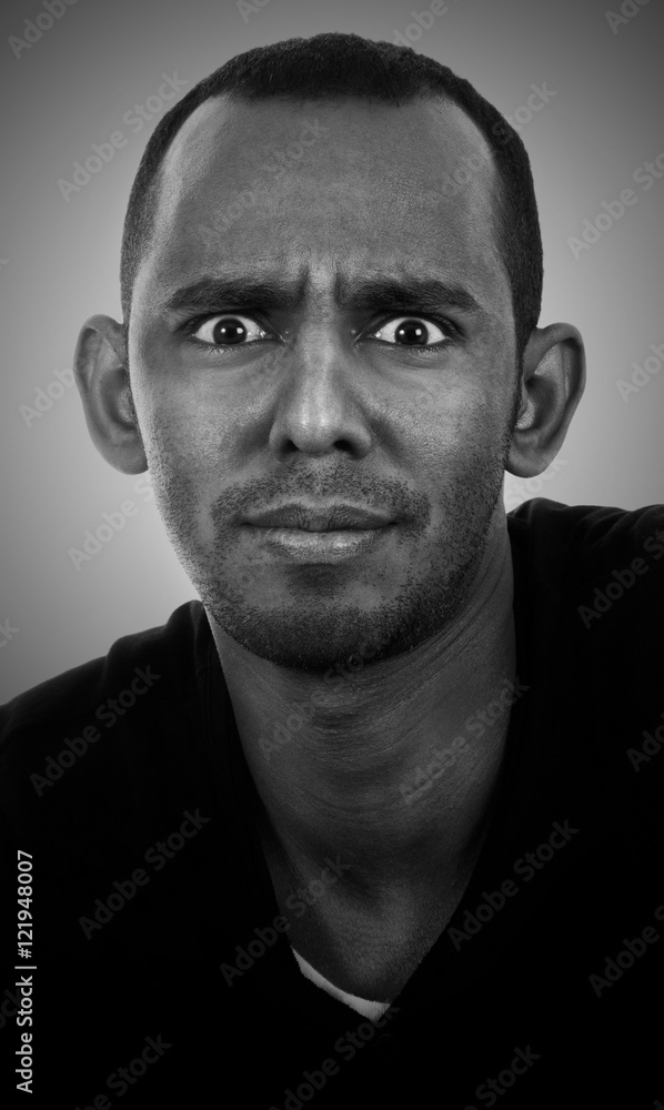portrait portrait