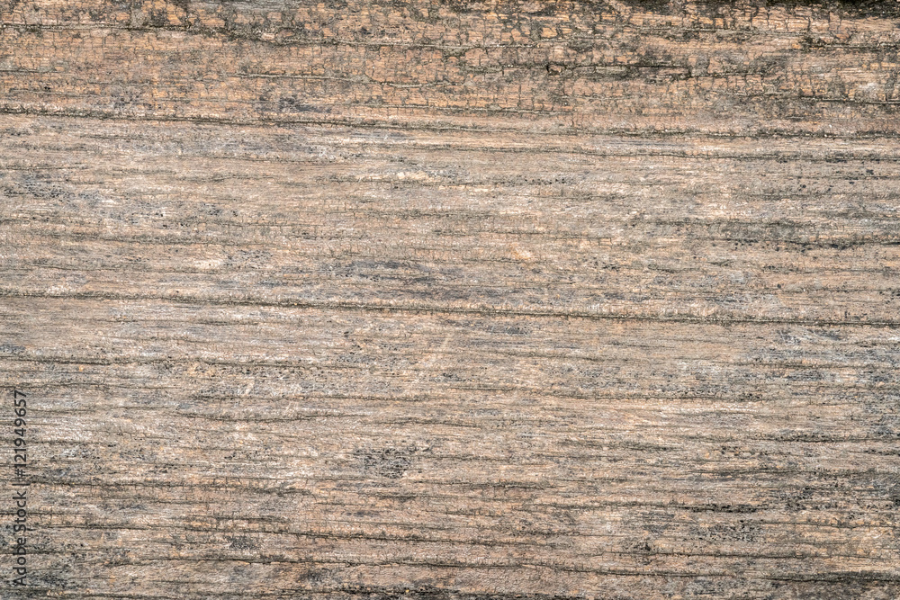 Wood texture Wood texture