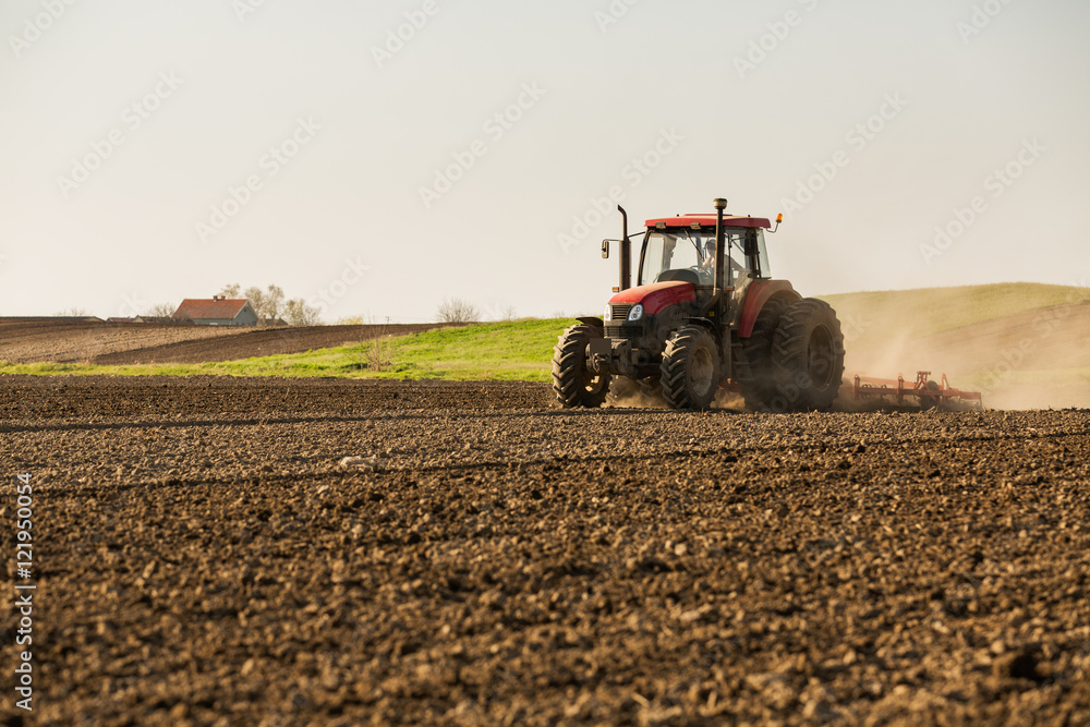 Fototapeta premium Farmer in tractor preparing land with seedbed cultivator
