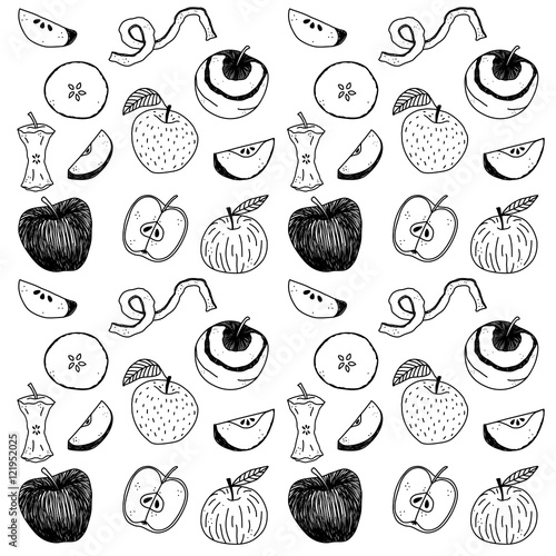 Hand drawn apple vector illustration