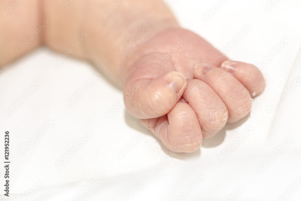White newborn baby tiny cute hand White newborn baby tiny cute hand