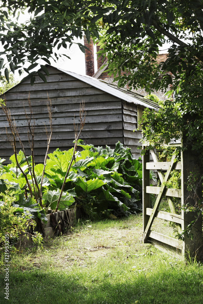 An open gate and barn in a mature garden with trees and shrubs. An open gate and barn in a mature garden with trees and shrubs.