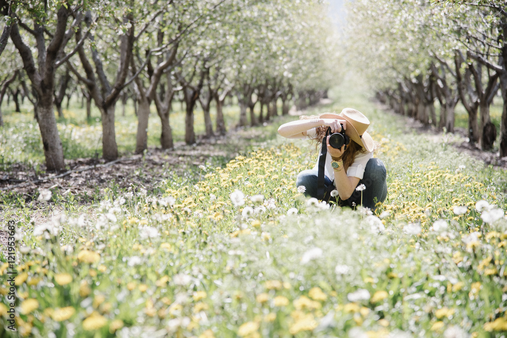 A woman taking photographs in an orchard among wild flowers. A woman taking photographs in an orchard among wild flowers.