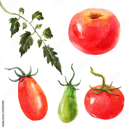 Watercolor tomato set
