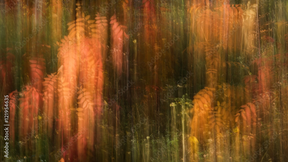 Abstract autumn landscape Abstract autumn landscape