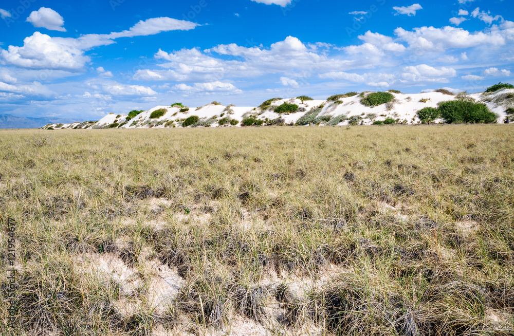 Obraz premium White Sands National Monument