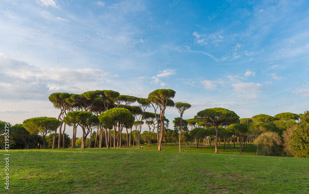 Fototapeta premium Rome (Italy) - The public park and fountains of Villa Doria Pamphili, located on the Gianicolo hill.