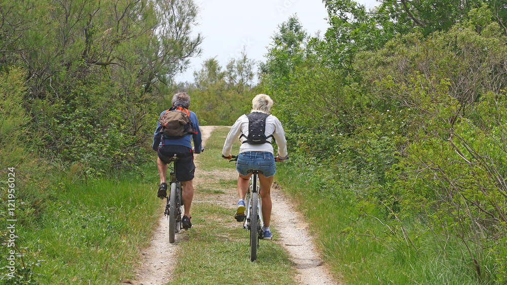 Fototapeta premium Ballade en Camargue