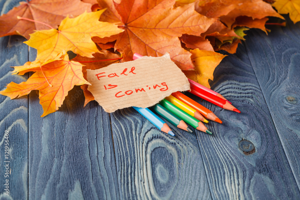 Colorful wooden pencils with autumn leafs on wooden table