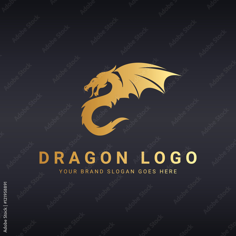 Dragon logo template. Dragon logo template.