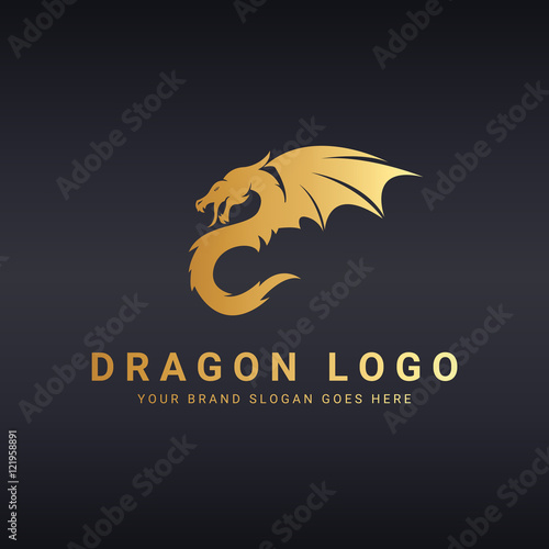 Dragon logo template. 