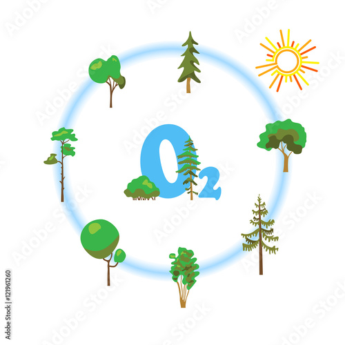 Cartoon image of photosynthesis trees