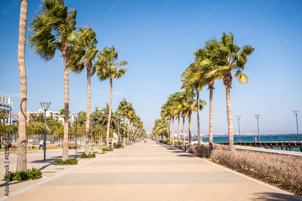 Fototapeta premium Promenade in Limassol, Republic of Cyprus