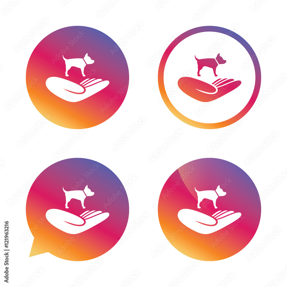 Shelter pets sign icon. Hand holds dog symbol. Shelter pets sign icon. Hand holds dog symbol.
