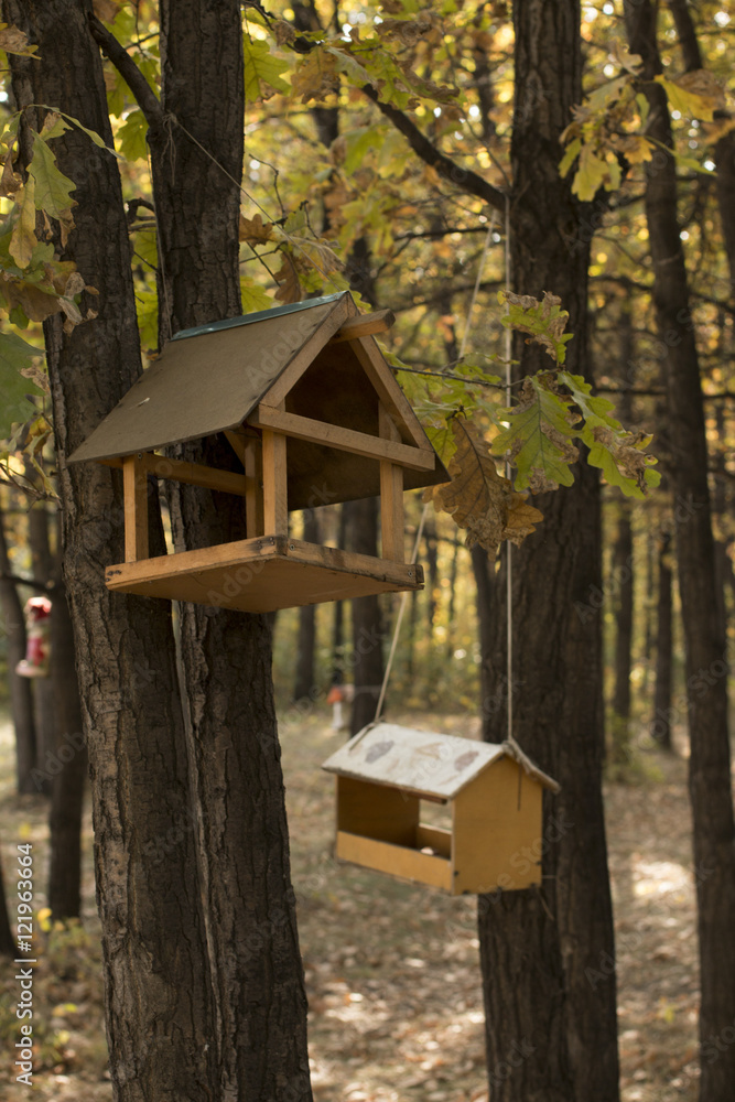 Feeders for birds in autumn oak forest Feeders for birds in autumn oak forest