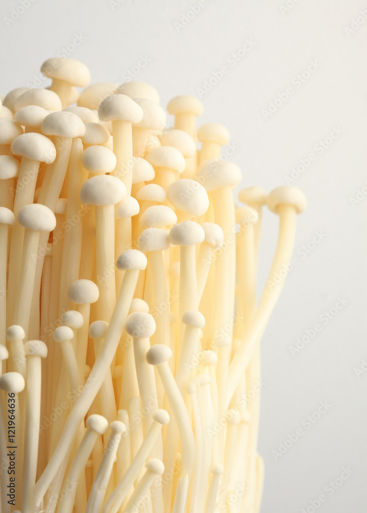 Mushrooms Mushrooms