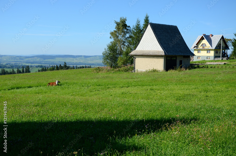 The village in the Tatra Mountains (Poland) The village in the Tatra Mountains (Poland)