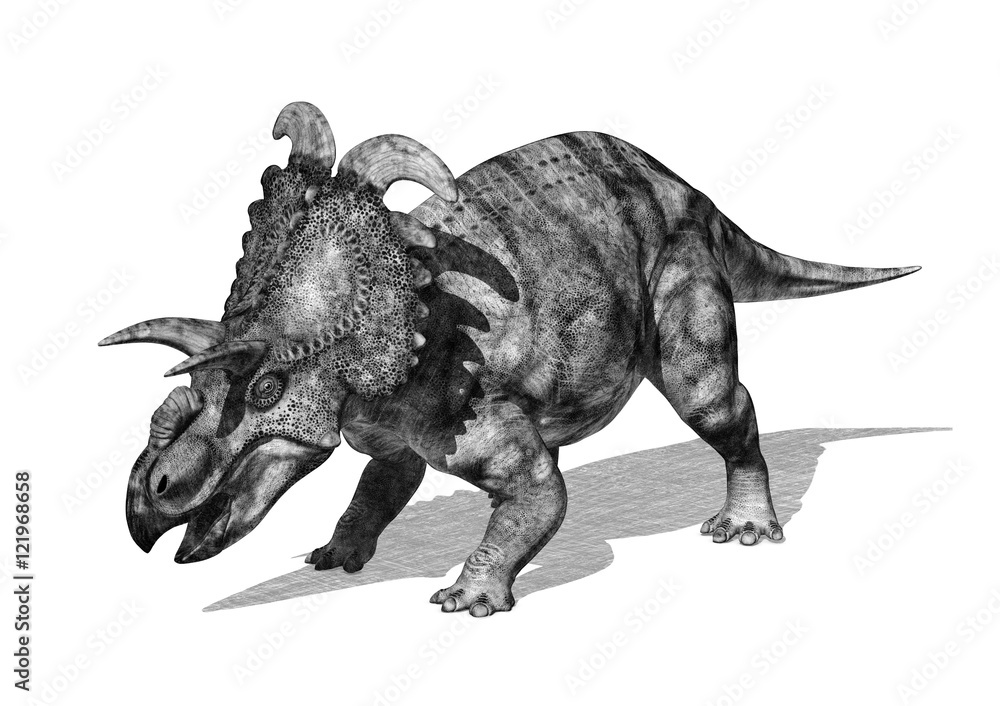 Albertaceratops Dinosaur in Pencil Drawing Style 2 Stock Illustration |  Adobe Stock