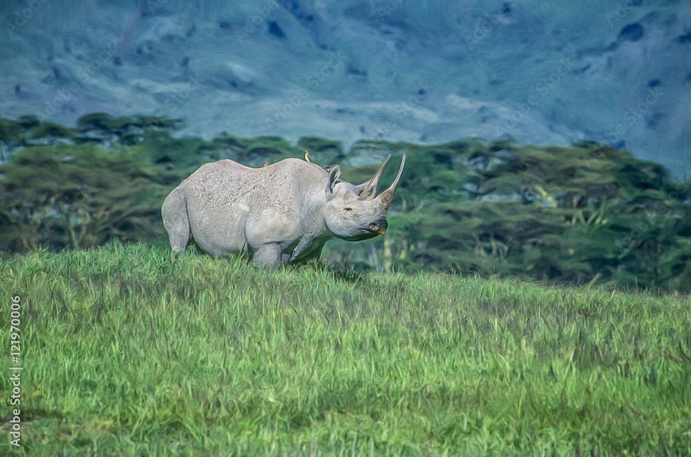 Fototapeta premium Black rhinoceroses,digital oil painting