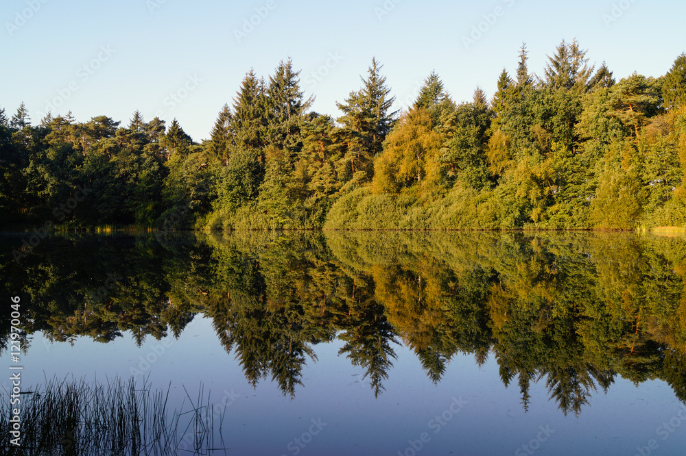 Fototapeta premium See im Wald 