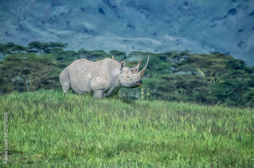 Black rhinoceroses digital oil painting