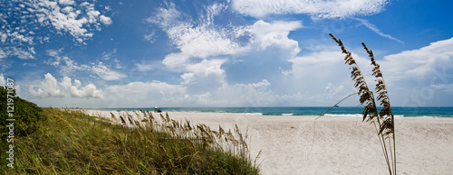 Coco beach with sea oats photo