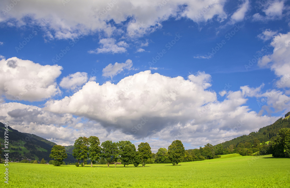 Beautiful landscape with trees and white clouds. Wallpaper background.