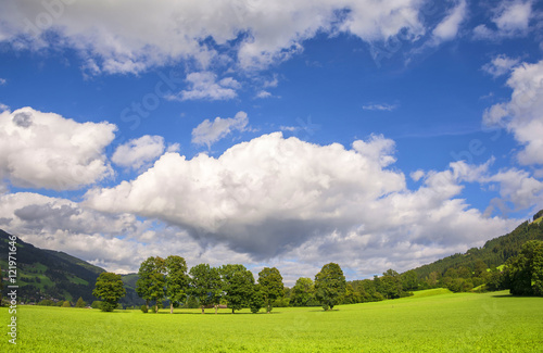 Beautiful landscape with trees and white clouds. Wallpaper background.