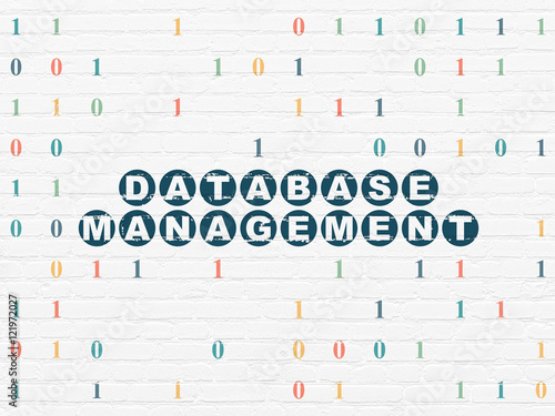 Database concept  Database Management on wall background