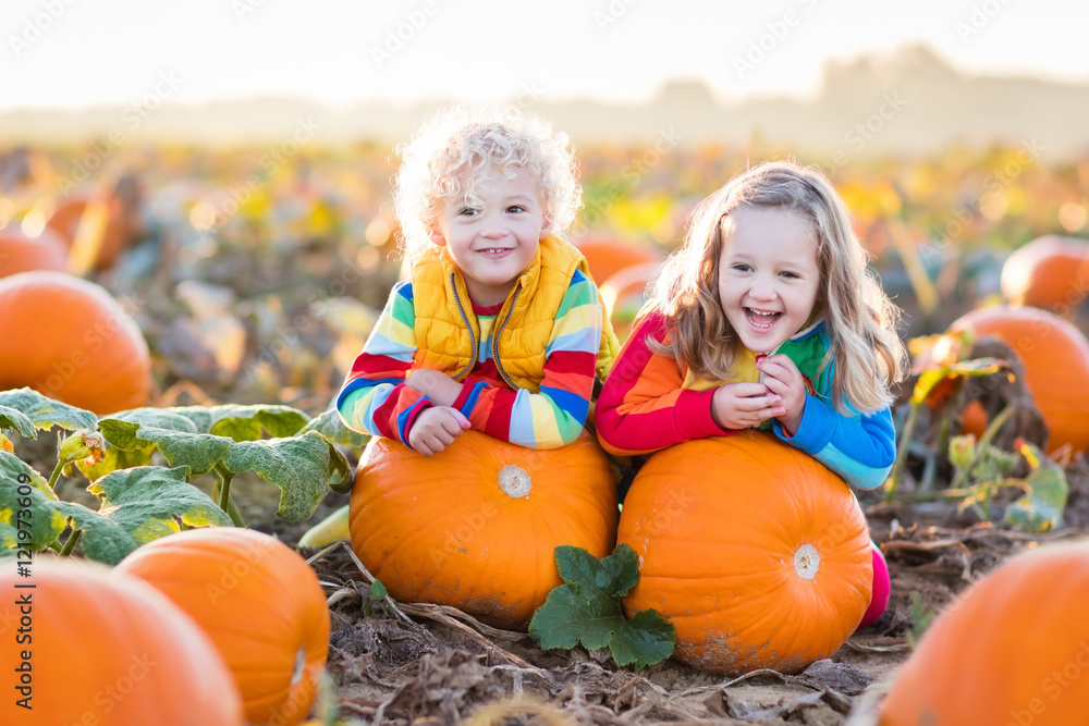 Obraz premium Kids picking pumpkins on Halloween pumpkin patch