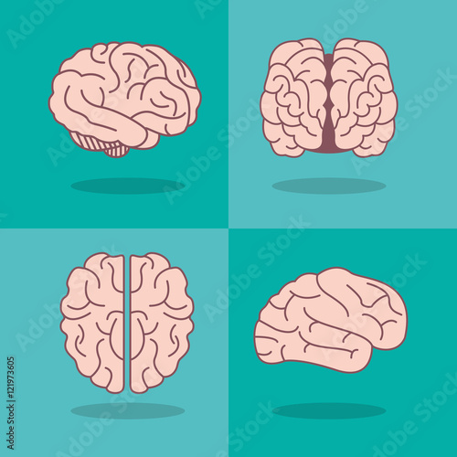 flat design human brain with science related icons image vector illustration