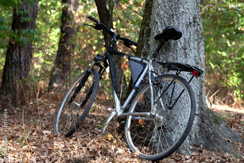 Bicycle in autumn forest © BSANI