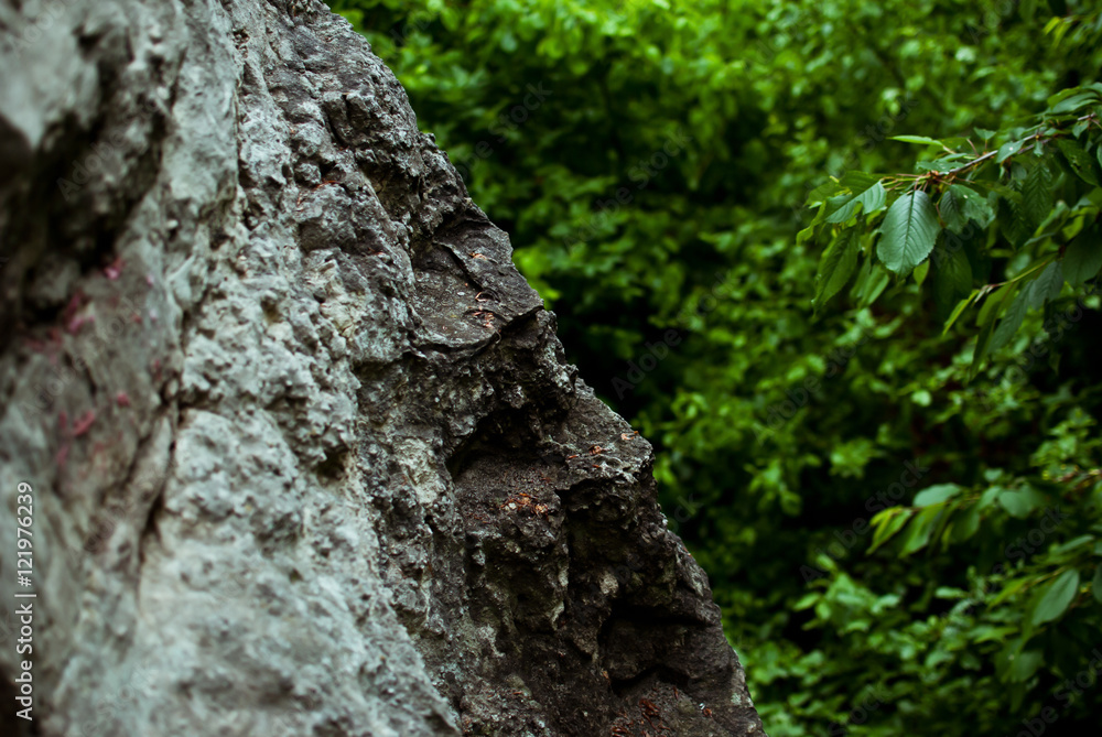 Sharp grey rock in the green summer forest. After the rain Sharp grey rock in the green summer forest. After the rain