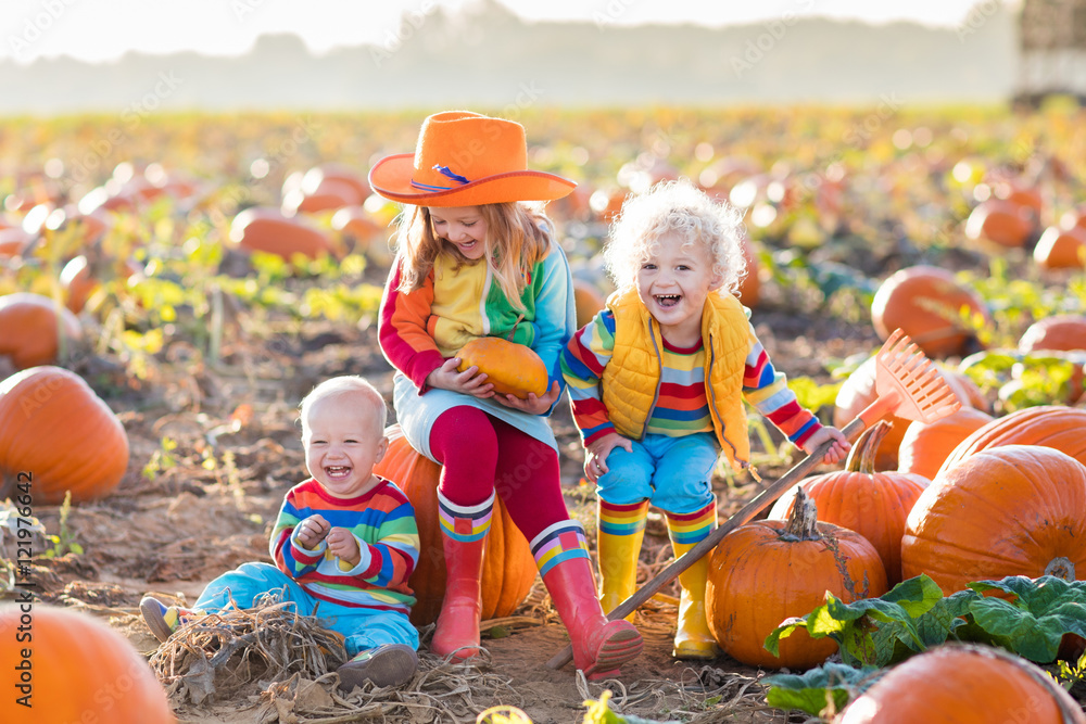Fototapeta premium Kids picking pumpkins on Halloween pumpkin patch