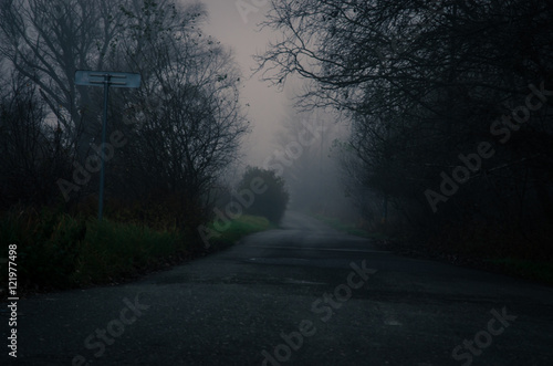 foggy weather in the path