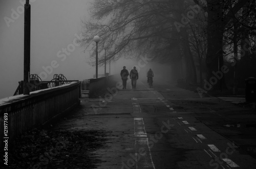 city path in foggy weather photo